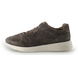 Greve Sneakers