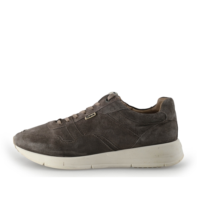 Greve Sneakers