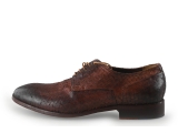 Greve Veterschoenen