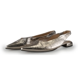 Notre-V Ballerina's