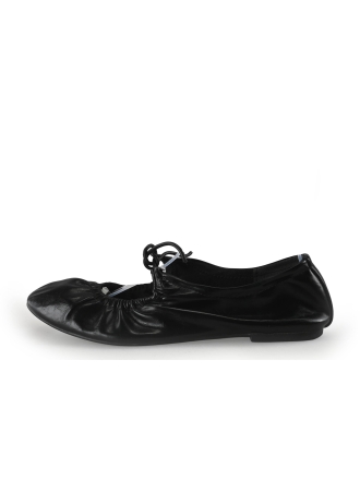 Sacha Ballerina's Bruin 354219
 Maat 38
 