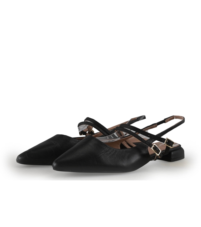 Manfield Ballerina's