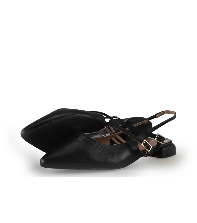 Manfield Ballerina's