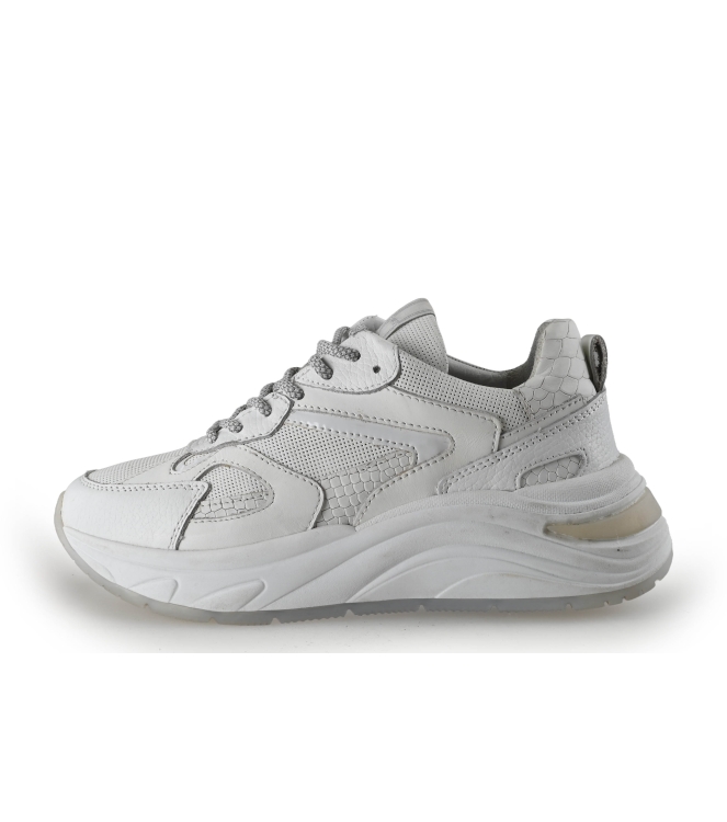 Manfield Sneakers