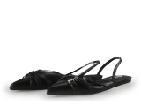 Sacha Pumps