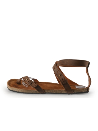 Aylla Bruin 355827
 Maat 41
 