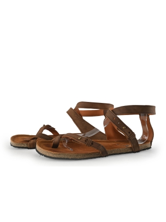 Aylla Bruin 355827
 Maat 41
 