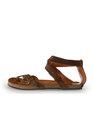 Aylla Bruin 355875
 Maat 38
 