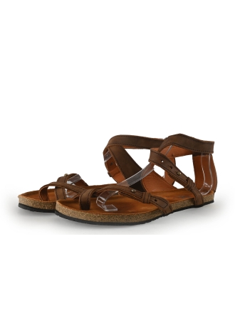Aylla Bruin 355875
 Maat 38
 