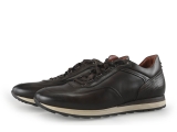 Greve Sneakers