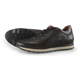 Greve Sneakers