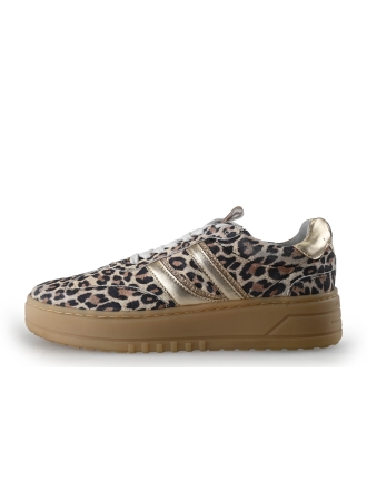 Poelman Sneakers Bruin 357205
 Maat 41
 