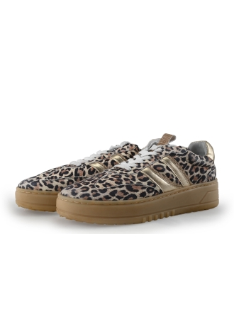 Poelman Sneakers Bruin 357205
 Maat 41
 