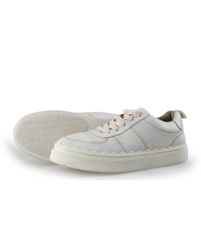 Chloe Sneakers