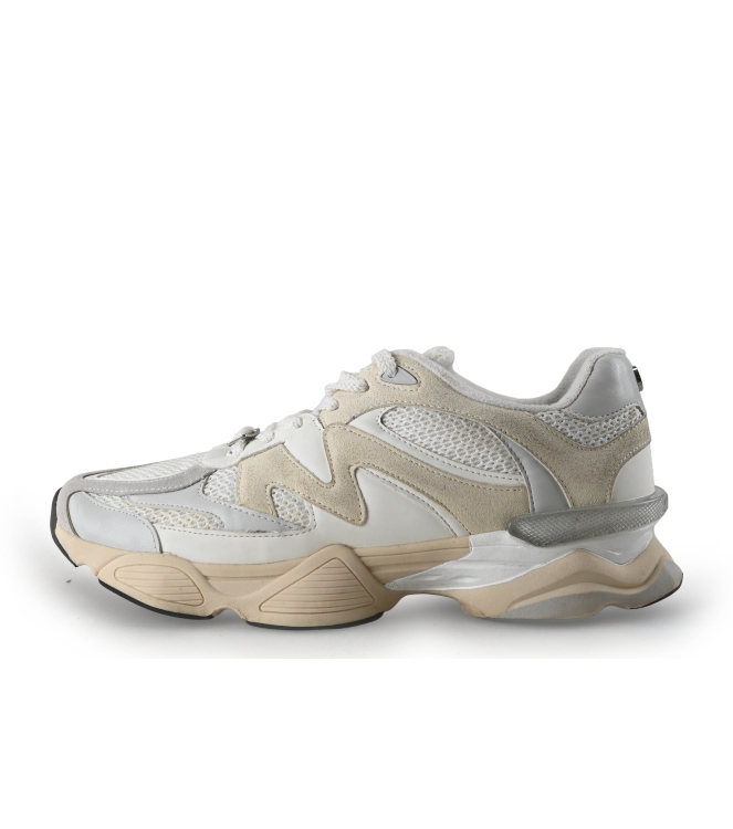 Steve Madden Sneakers