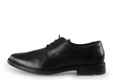 Lloyd Veterschoenen