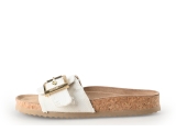Colors of California Slippers