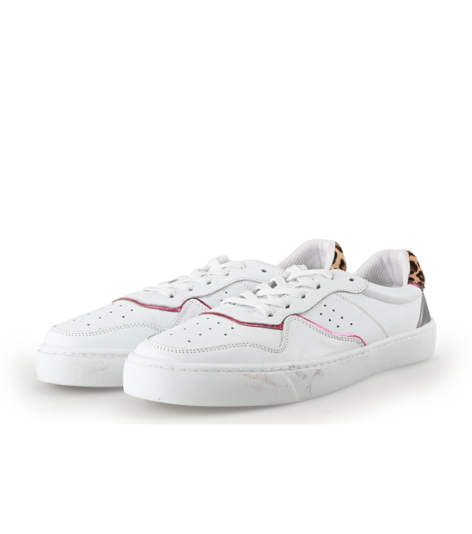 Colors of California Sneakers