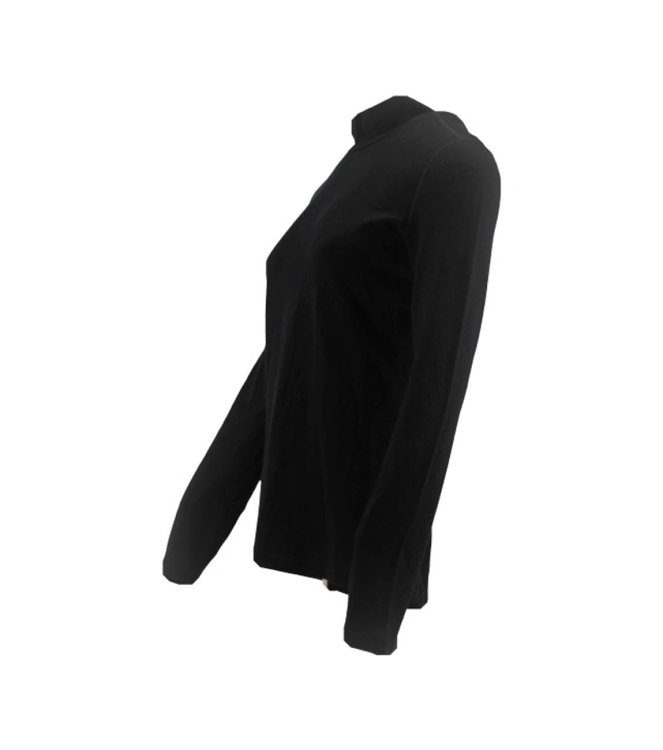 Icebreaker Merino T-shirt