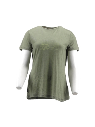 Icebreaker T-shirt Groen 600158
