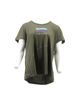 Icebreaker T-shirt Groen 600187