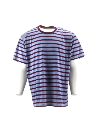 Icebreaker T-shirt Blauw 600202