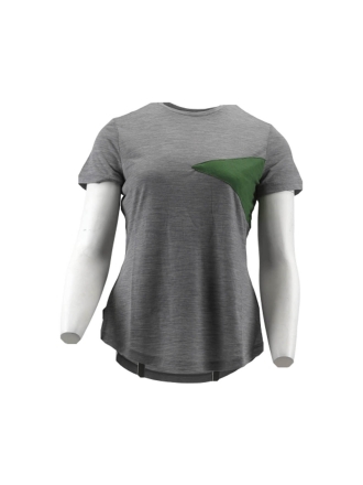 Icebreaker T-shirt Grijs 600243