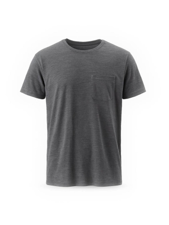 Icebreaker T-shirt Grijs 600266