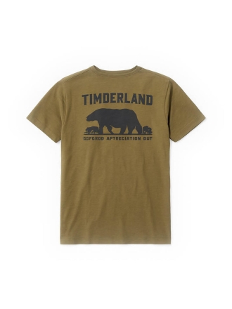 Timberland T-shirt Groen 600439
