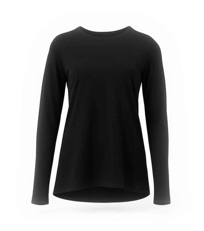 Icebreaker Merino T-shirt