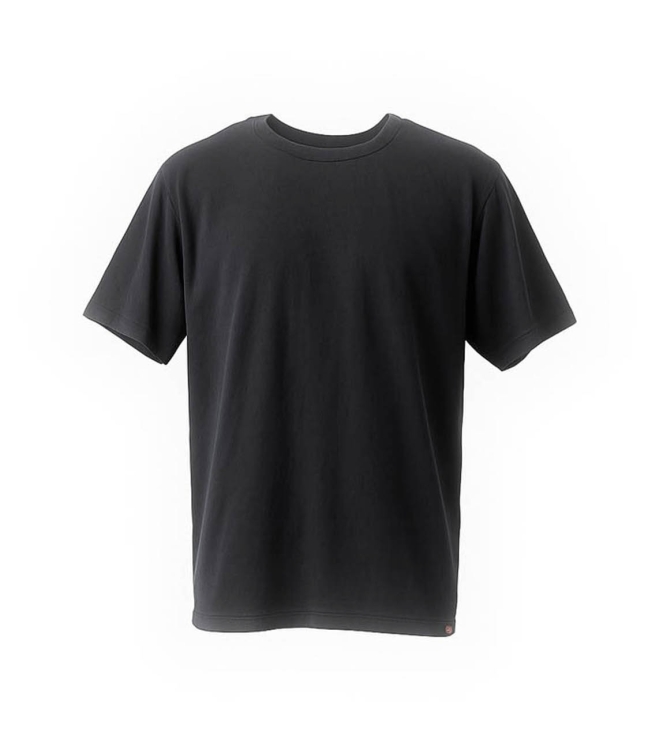 Dickies T-shirt