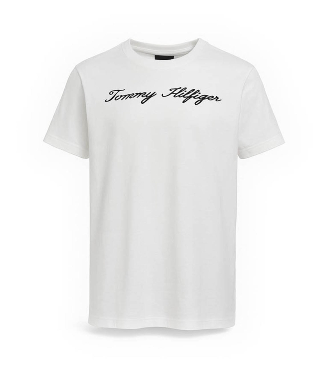 Tommy Hilfiger T-shirt