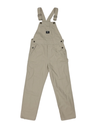 Vans Broek Beige 602273