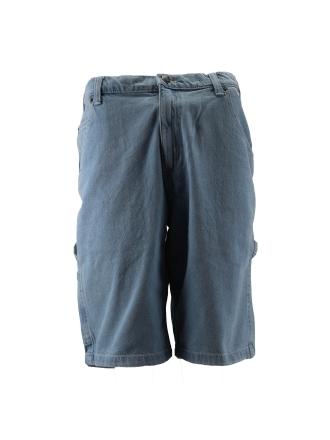 Dickies Broek Blauw 602412