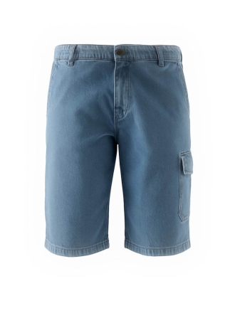 Dickies Broek Blauw 602424