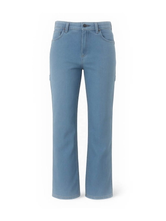 Dickies Broek Blauw 602427