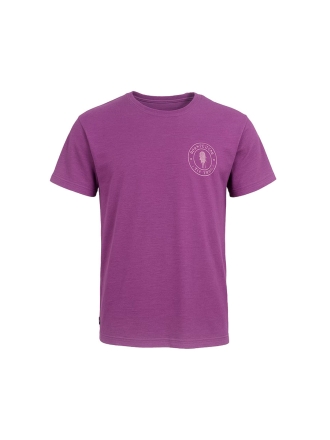 Icebreaker T-shirt Overig 602466