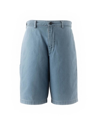 Dickies Broek Blauw 602672