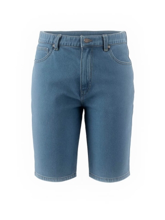 Dickies Broek Blauw 602685