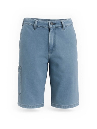 Dickies Broek Blauw 602742