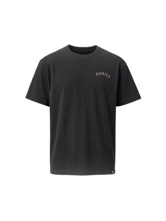 Dickies T-shirt Zwart 602791