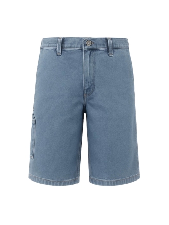 Dickies Broek Blauw 602829