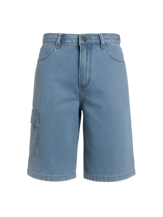 Dickies Broek Blauw 602833