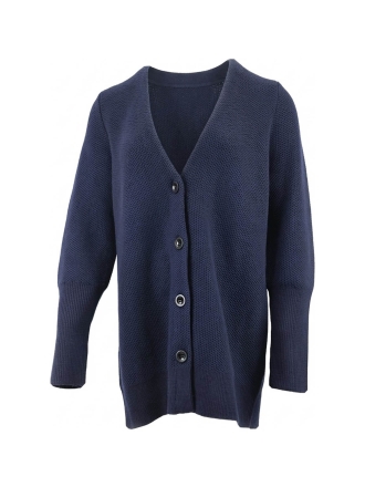 Icebreaker Trui Blauw 603254