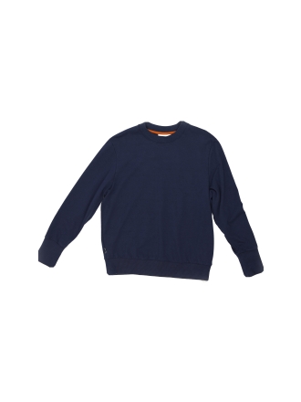 Icebreaker Trui Blauw 603813