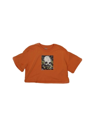 Vans T-shirt Oranje 603863