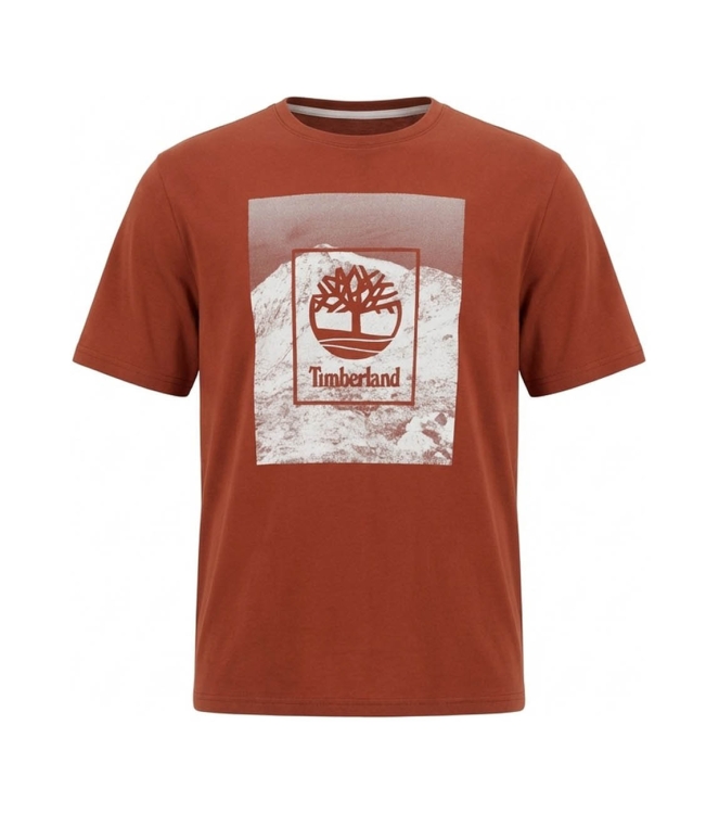 Timberland T-shirt