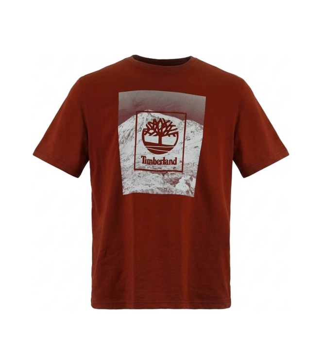 Timberland T-shirt
