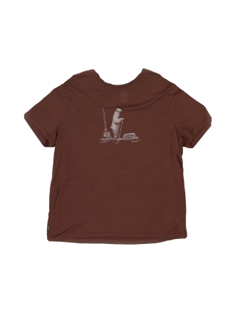 Icebreaker T-shirt Bruin 605157