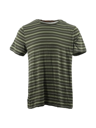 Icebreaker T-shirt Groen 605519